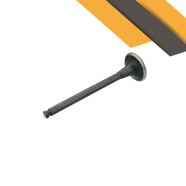 EHSF/12-293| Intake Valve Set 490BPG