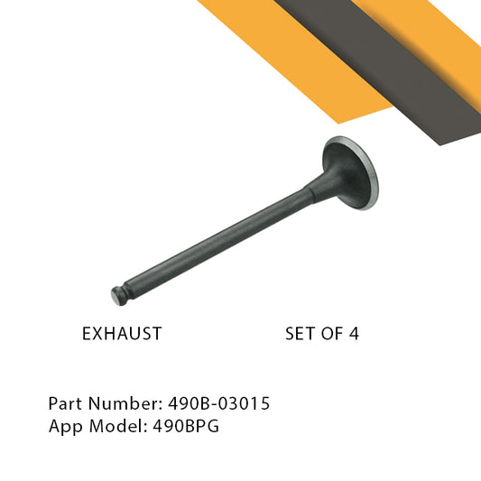 EHSF/13-293|Exhaust Valve Set 490BPG